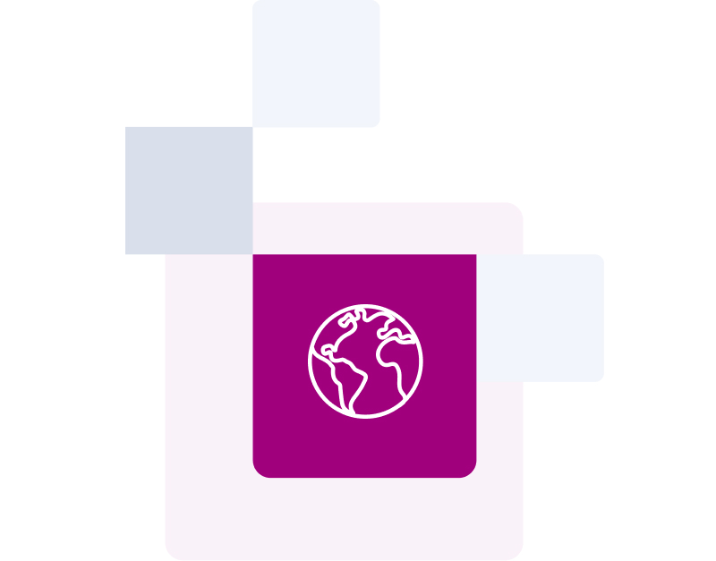 Globe icon with pink background 